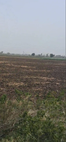 Firozpur Kalan, Haryana 121004, India