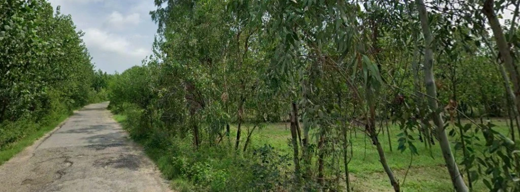 Bilari, Uttar Pradesh 244411, India