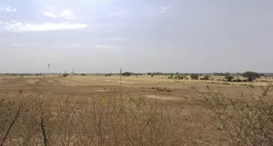 Damdama, Madhya Pradesh, India preview 2