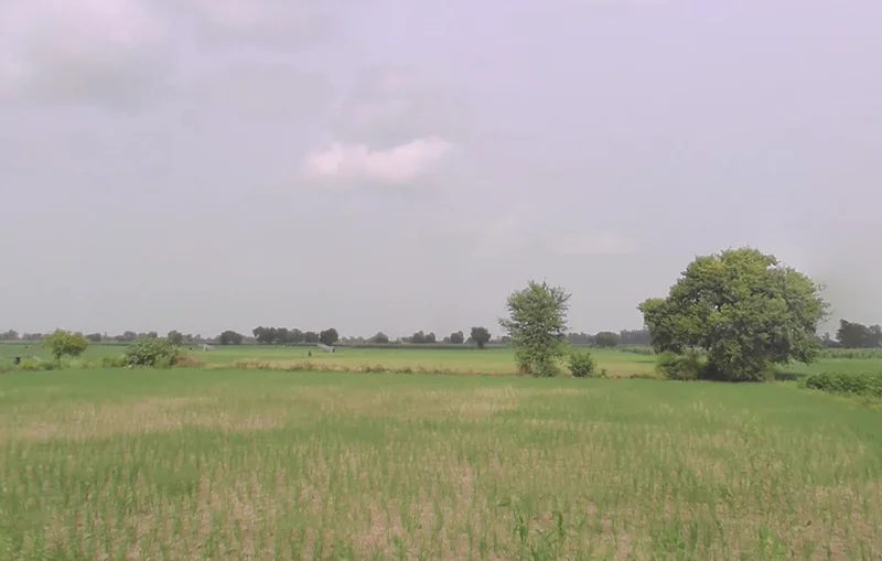 Meham, Haryana 124112, India preview 3