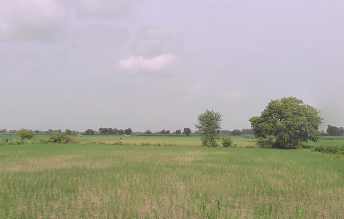 Meham, Haryana 124112, India