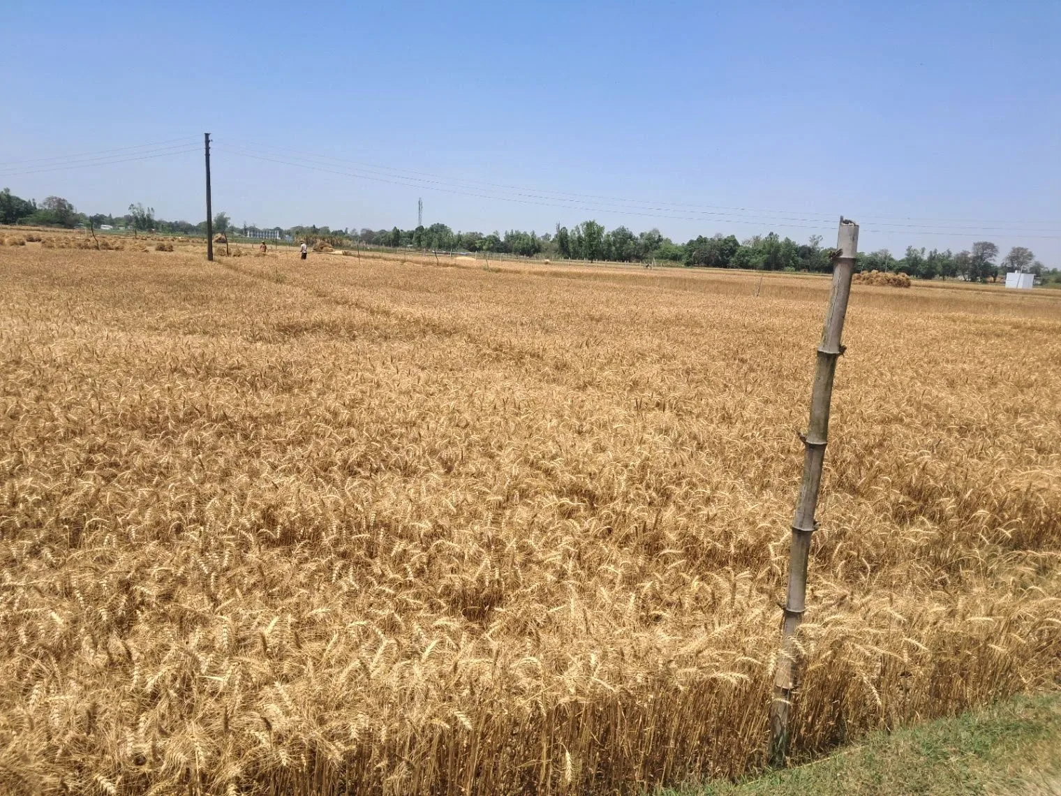 M5XF+R6V, Itoura, Uttar Pradesh 224201, India