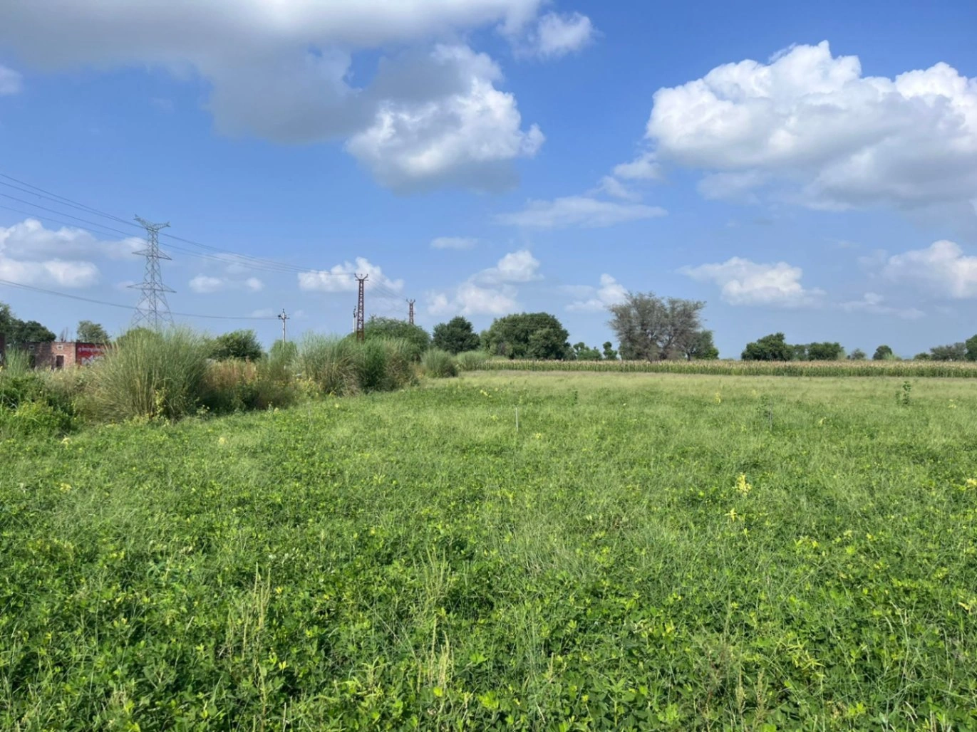 WH4C+XM Khatkar, Rajasthan, India