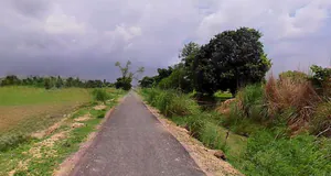 Barsana, Uttar Pradesh 281405, India preview 3