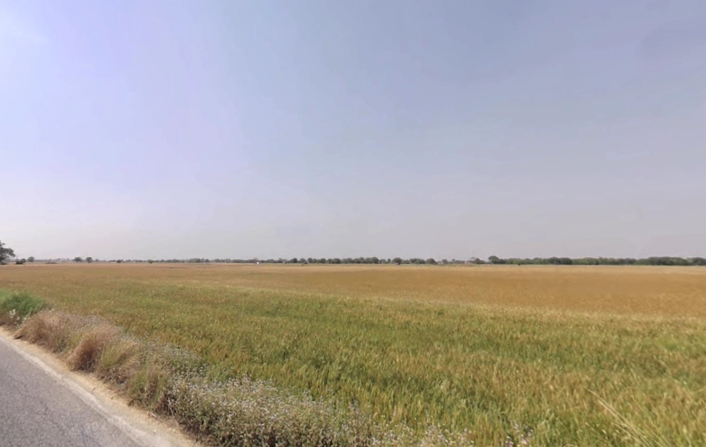 Yakubpur Stand, SH -15, Gurugram Rd, Jhajjar, Yakubpur, Haryana 124515, India