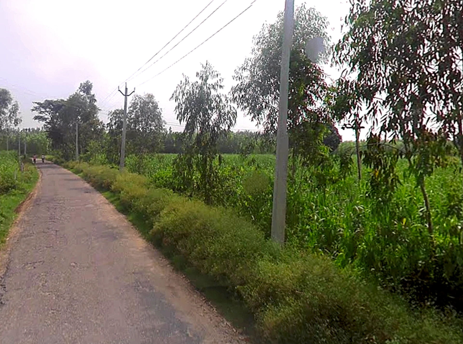 Bhaguwala, Uttar Pradesh 246749, India