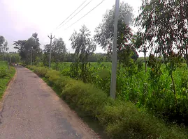 Bhaguwala, Uttar Pradesh 246749, India preview 3