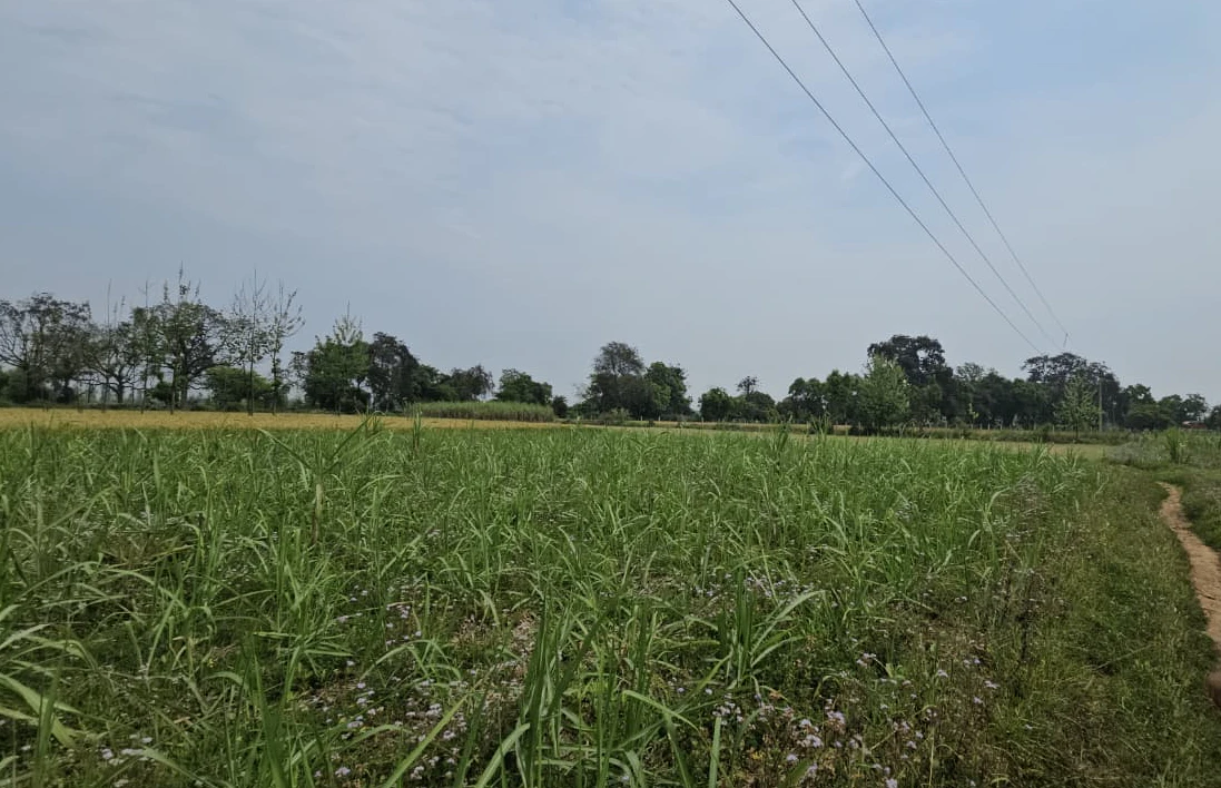 Rampura, Gujarat 382140, India