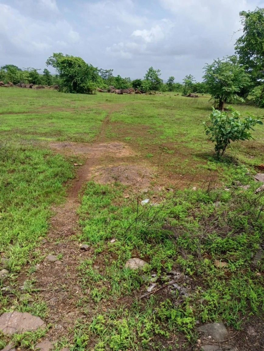 Jamli, Khargone, Madhya Pradesh, India