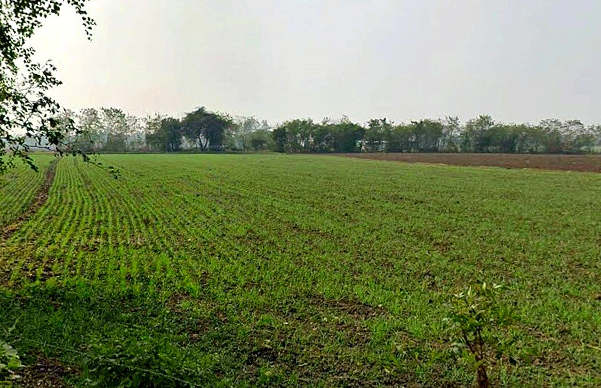 Gautampura, Madhya Pradesh 457555, India