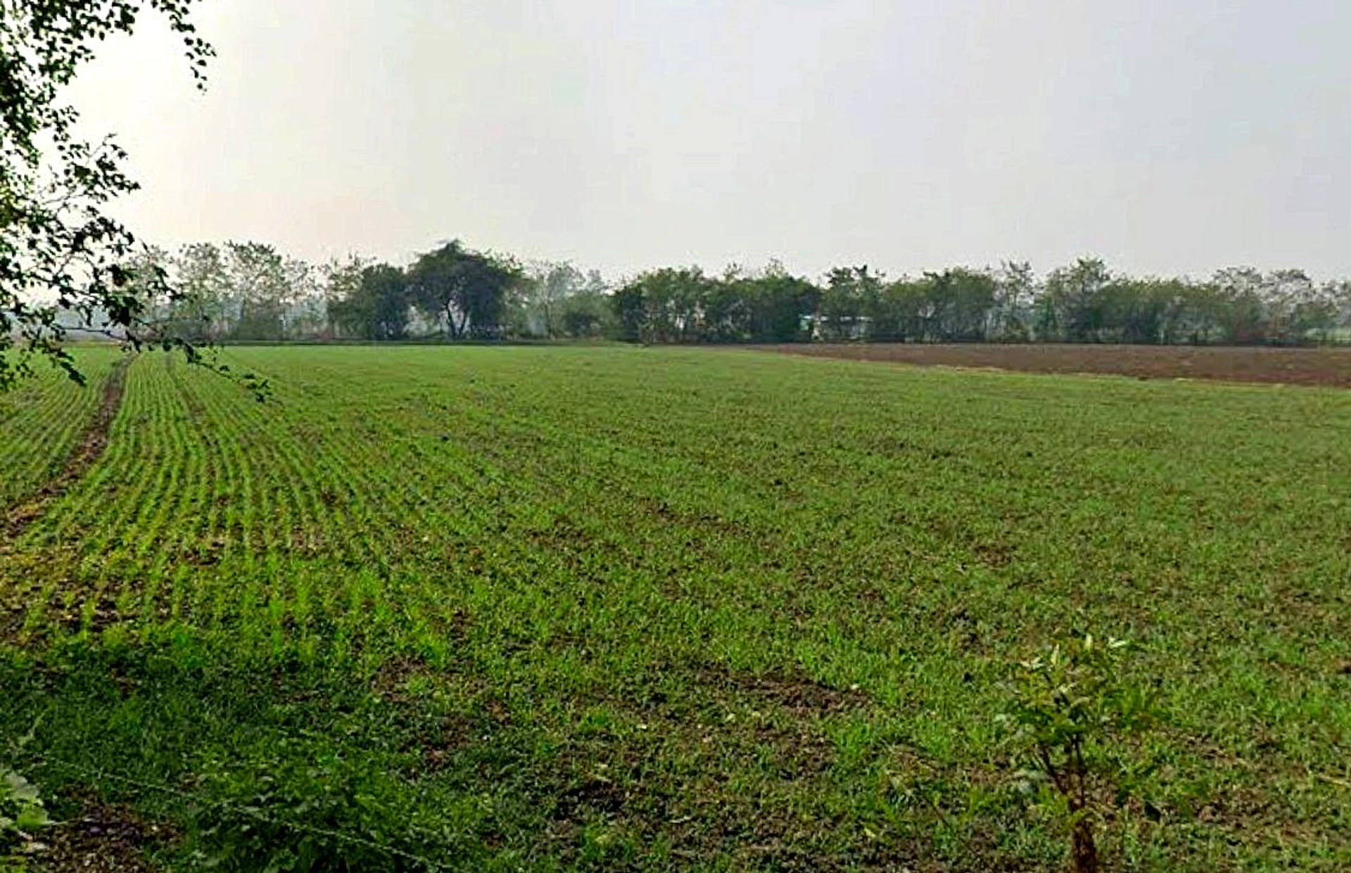 Gautampura, Madhya Pradesh 457555, India