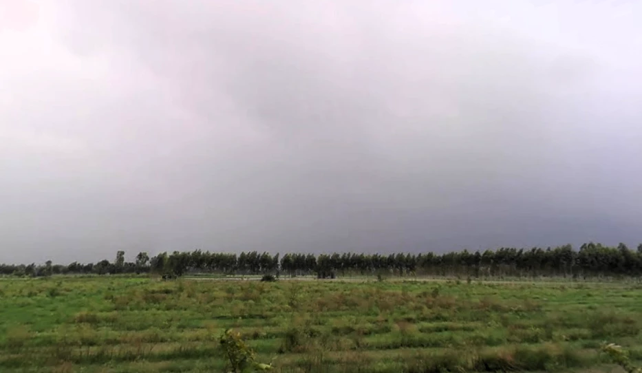Grand Trunk Rd, Sonipat, Haryana, India
