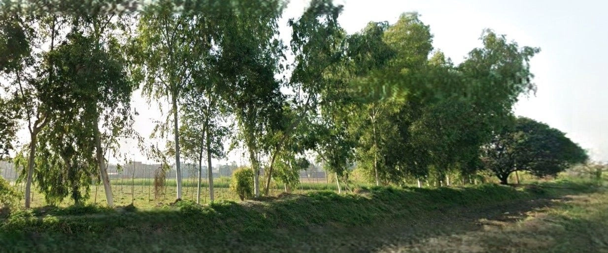 Sardhana, Uttar Pradesh 250342, India preview 3