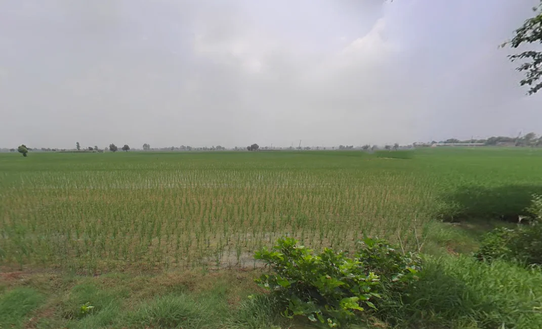 Bhodia Khera, Haryana 125120, India preview 3