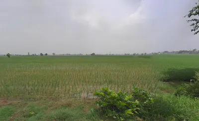 Bhodia Khera, Haryana 125120, India preview 3