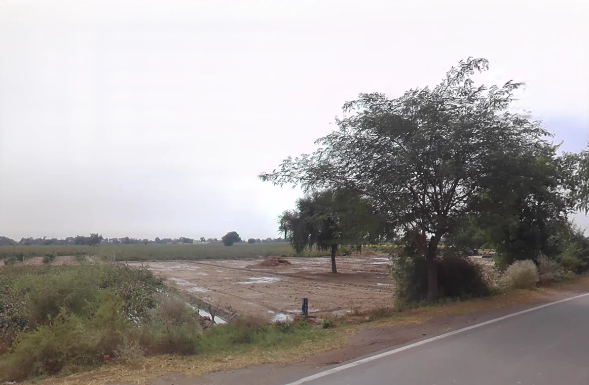 Chautala, Haryana 125101, India preview 2