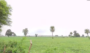 Salkanpur, Madhya Pradesh 466446, India preview 2