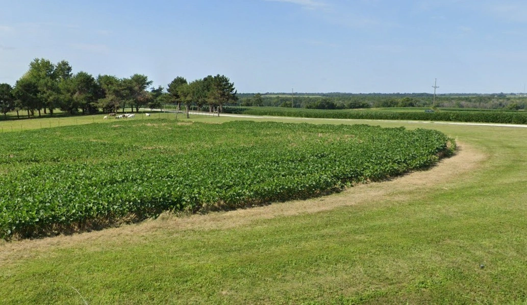 Khudel, Madhya Pradesh 452016, India