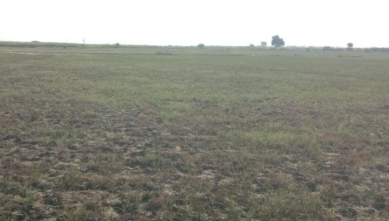 Beebanwa, Rajasthan 323001, India