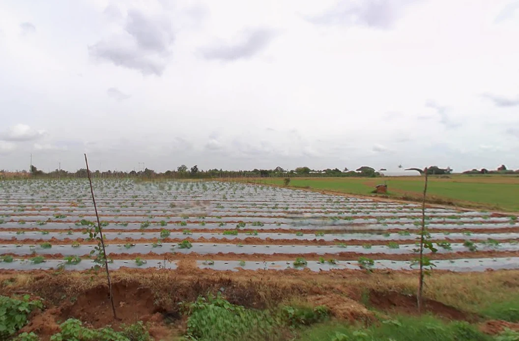 Melekote, Karnataka 561205, India