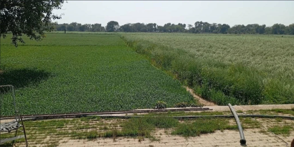 6H59+VQM, Rewari, Khargwas, Haryana 123401, India