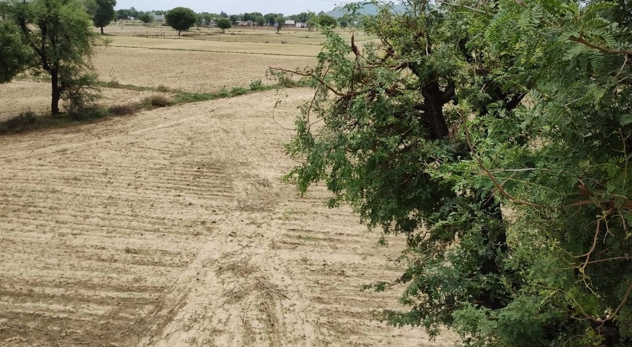 Govind Garh, Rajasthan 301604, India