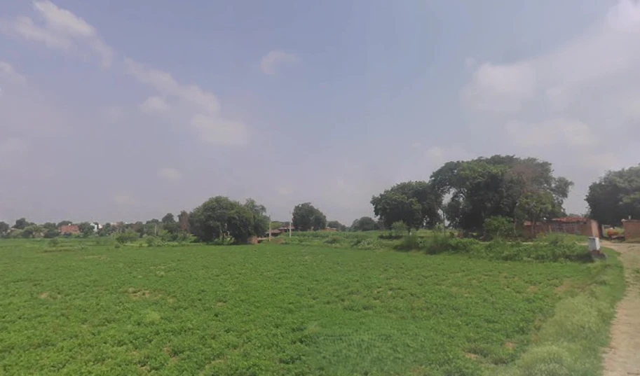 Chunar, Uttar Pradesh 231304, India