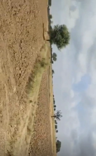 G299+Q79, Ajmer, Kalanada, Rajasthan, India