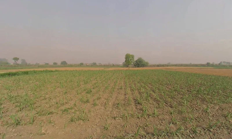 Bhojpur, Uttar Pradesh, India preview 2