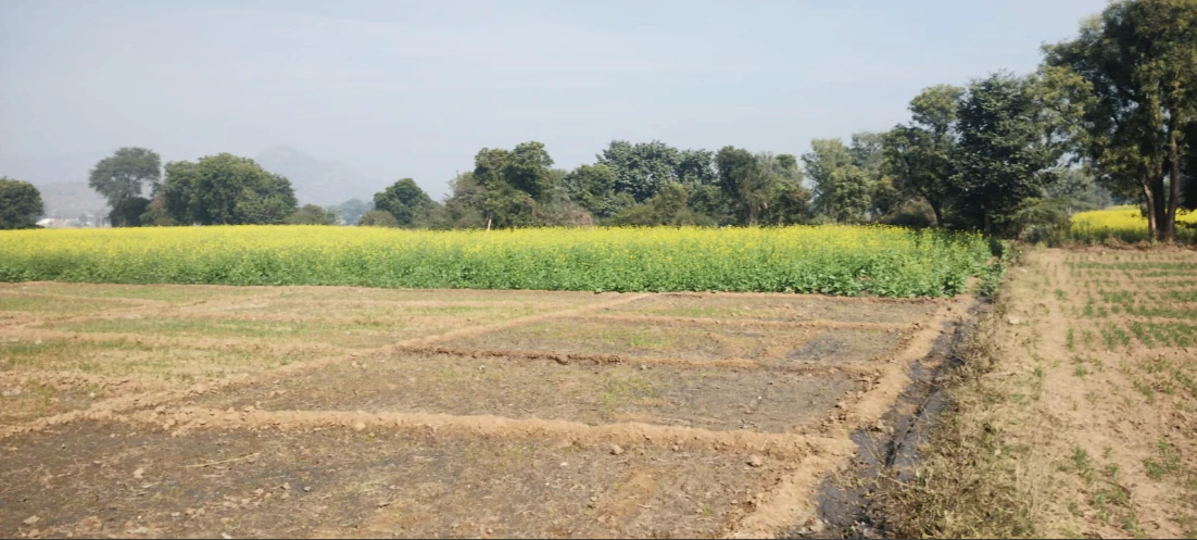 5F5Q+39 Doongri Khurd, Jaipur, Rajasthan, India
