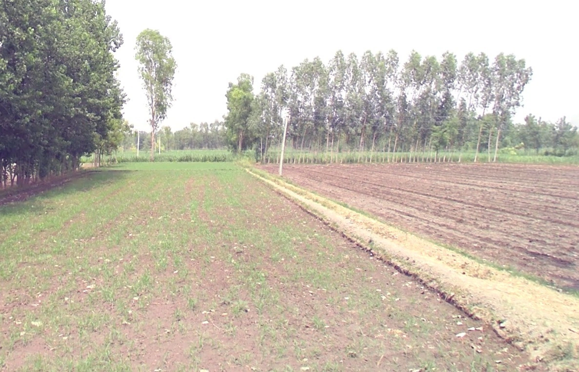 Lodiya, Madhya Pradesh 465001, India