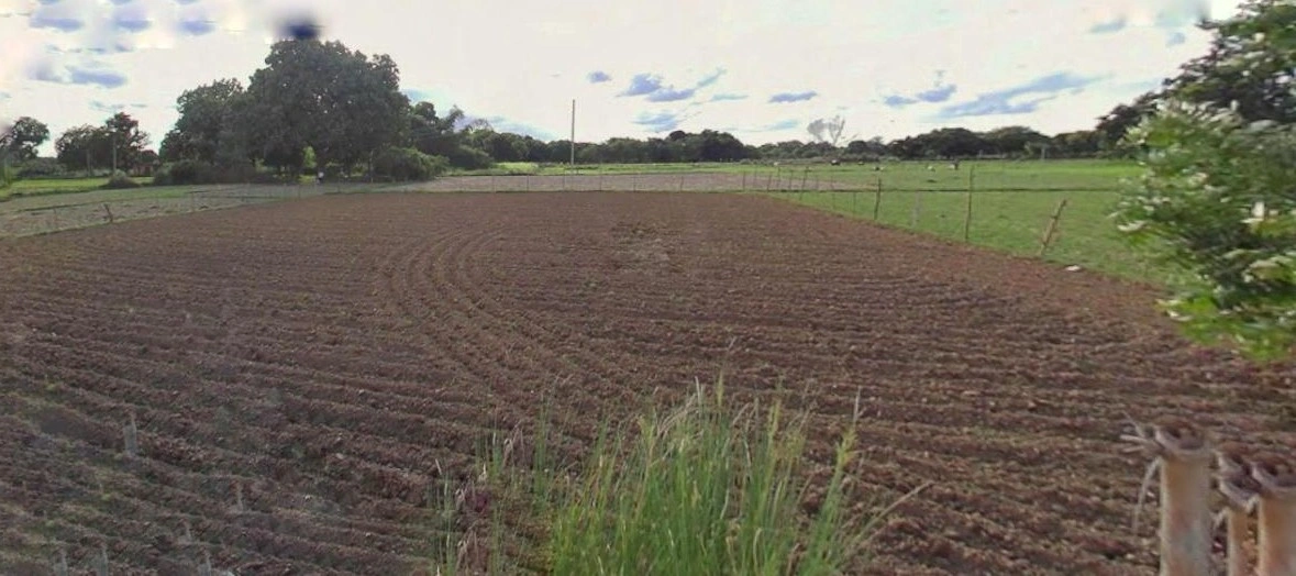 Barnagar, Madhya Pradesh 456771, India