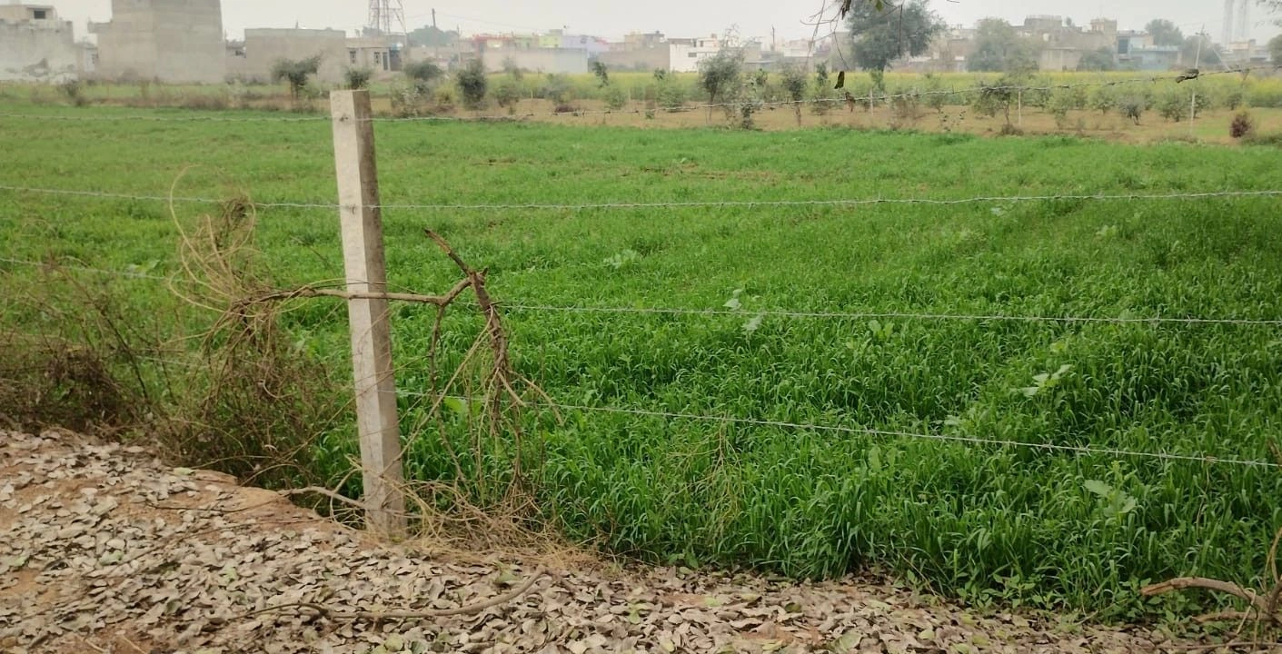 Ramnagar, Rajasthan 301001, India