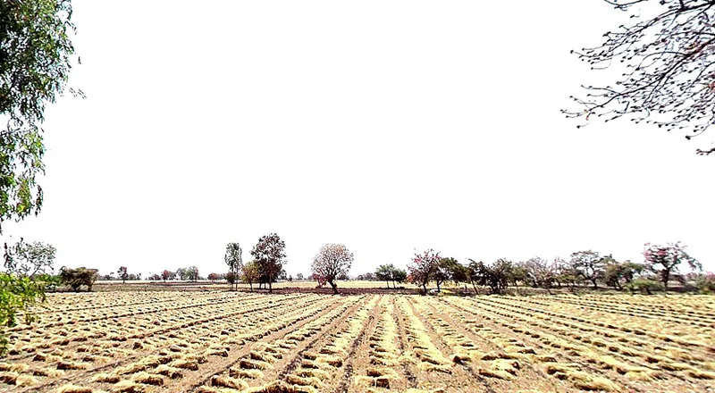 97C6+QXM, Chhindwada, Madhya Pradesh 462036, India preview 2