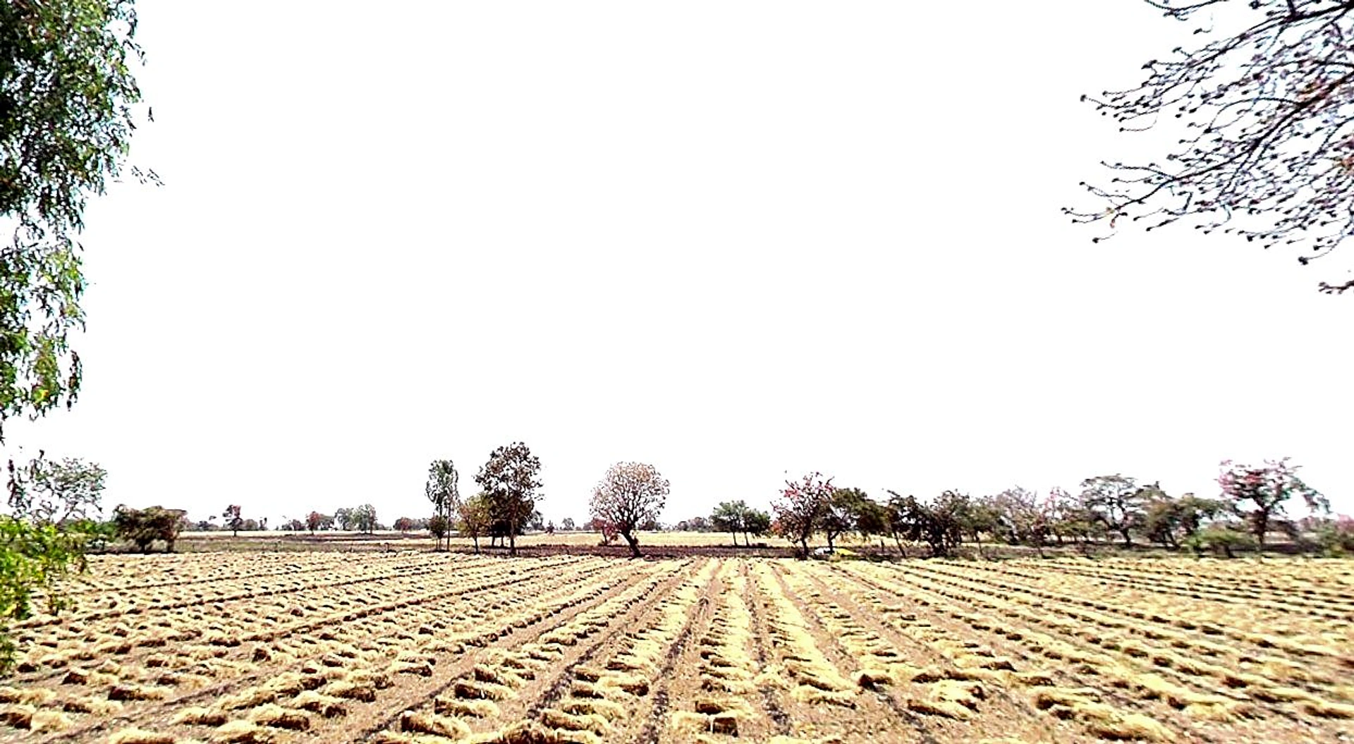 97C6+QXM, Chhindwada, Madhya Pradesh 462036, India