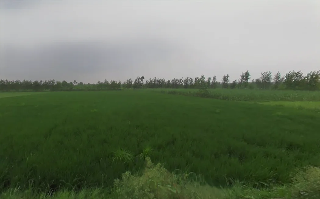 Gumti, Uttar Pradesh 247120, India preview 2