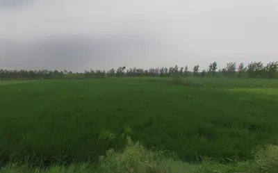 Gumti, Uttar Pradesh 247120, India preview 2