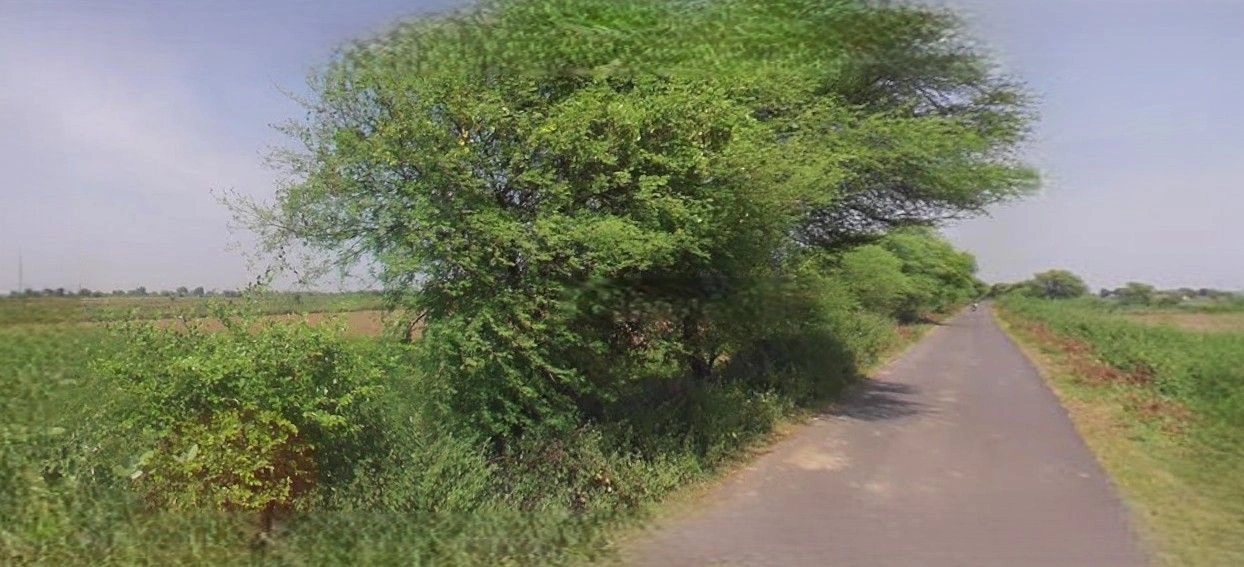 Gangoh, Uttar Pradesh 247341, India preview 3