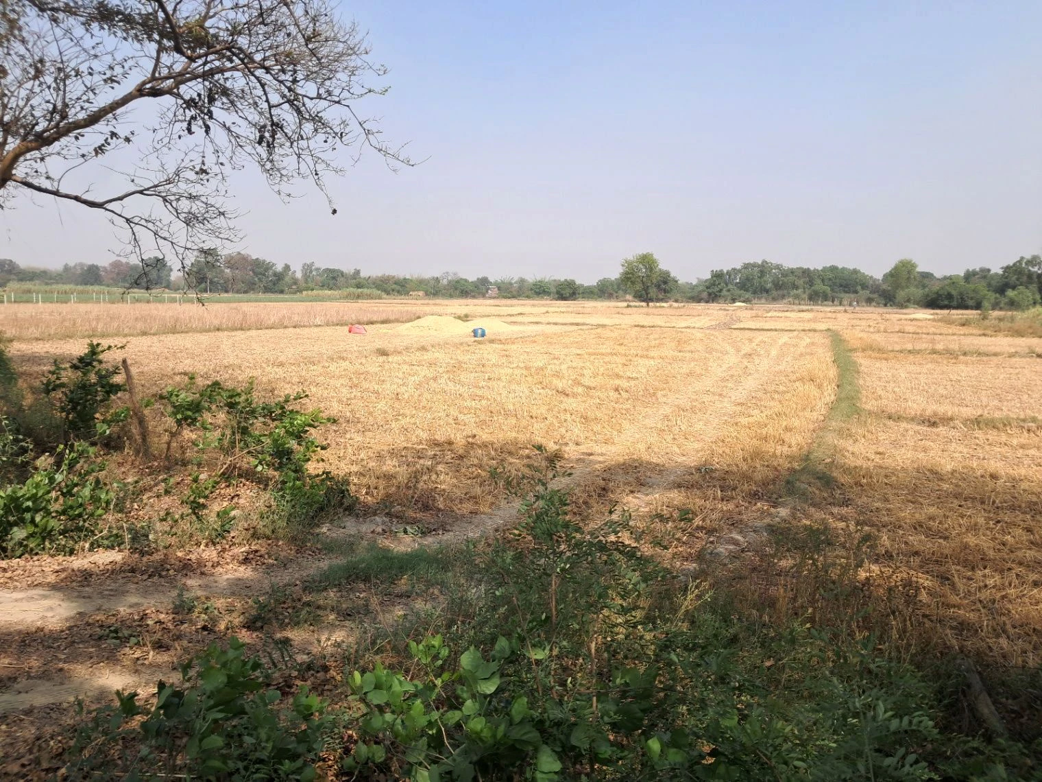 M2RC+WG Taram Khas, Uttar Pradesh, India