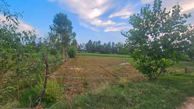 Patna, Faridpur, Bareilly, Uttar Pradesh, India preview 3