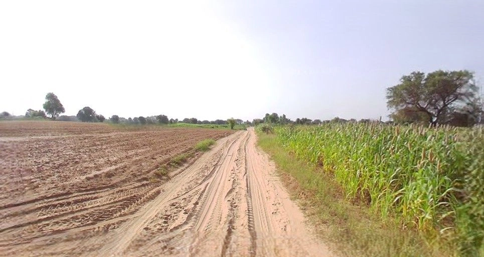 Jhajjar, Haryana 124103, India preview 3