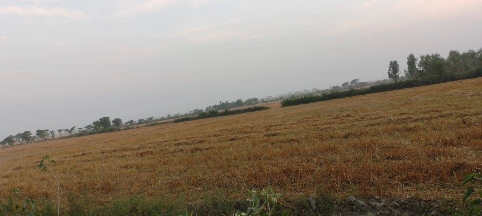 M5X8+FW Abanpur Saroha, Uttar Pradesh, India preview 3