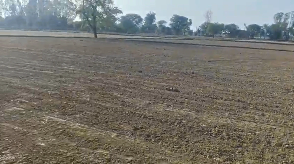 5W5J+593, Sangawala, Rajasthan 303002, India