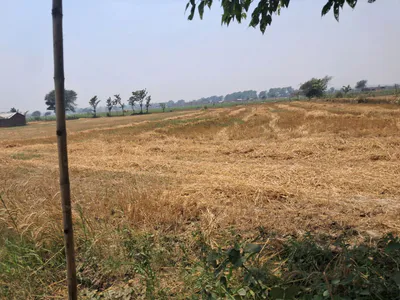 P7P4+V2 Tihura Manjha, Uttar Pradesh, India preview 2