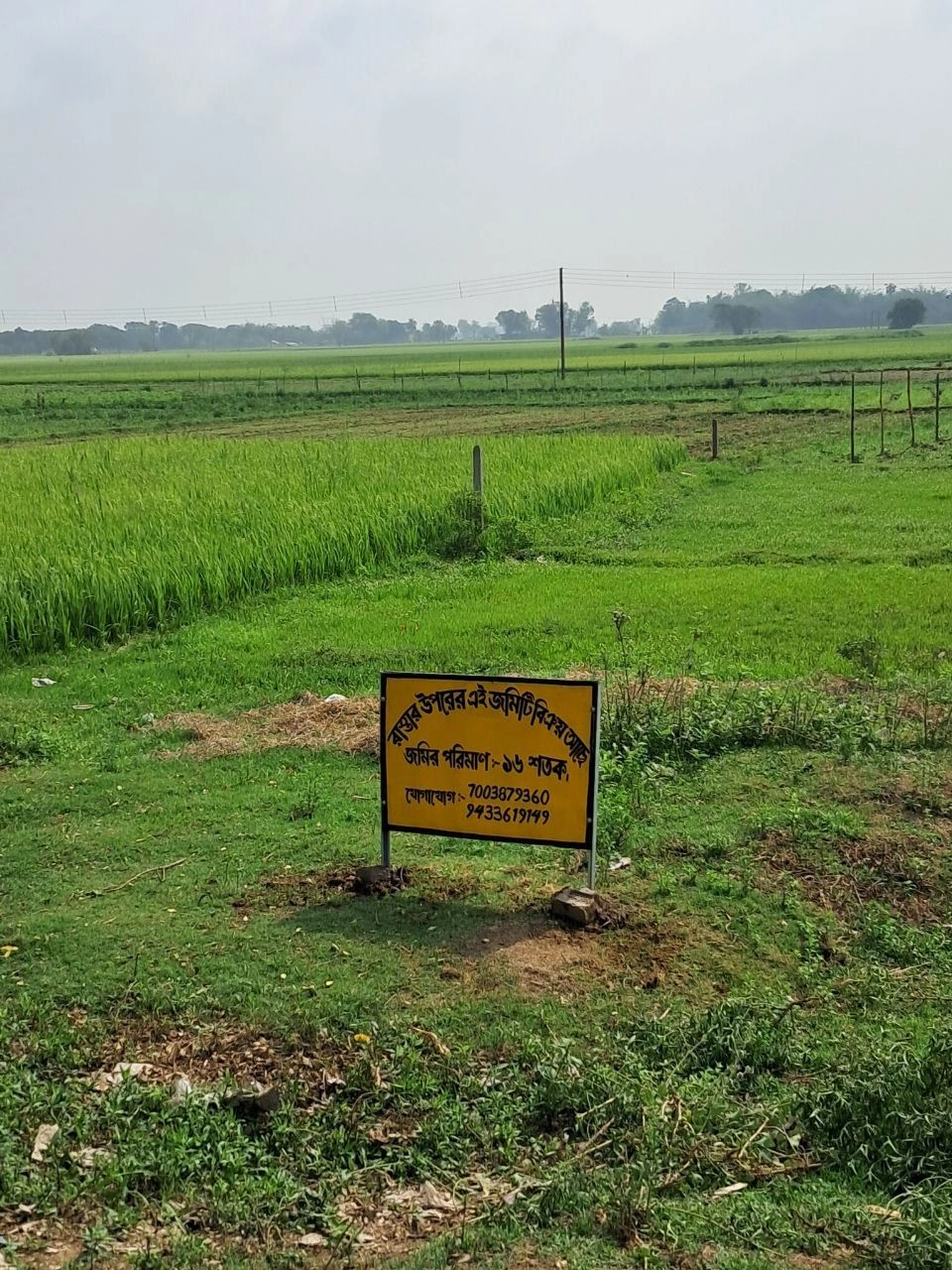 Puinan, West Bengal 712305, India - Photo 6