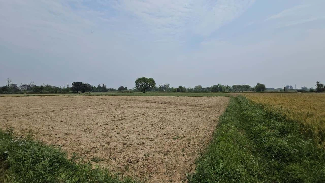 995H+PQF, Darbarpur, Uttar Pradesh 246733, India