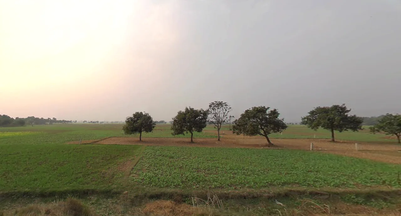 JGF4+QJW, Reekjoyoni, Khamar, West Bengal 700135, India preview 2