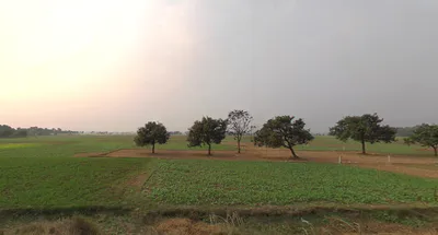 JGF4+QJW, Reekjoyoni, Khamar, West Bengal 700135, India preview 2