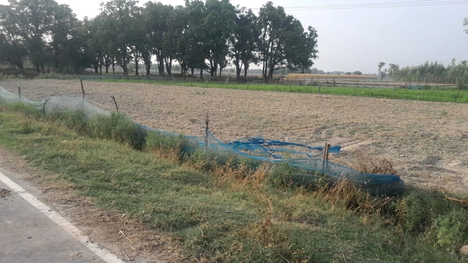P5CV+82 Firozpur, Uttar Pradesh, India