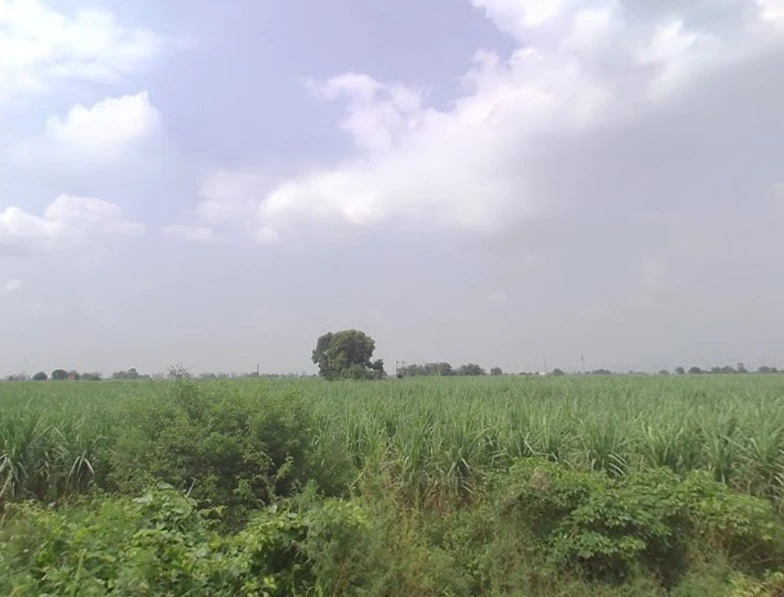 Baraut, Uttar Pradesh 250611, India